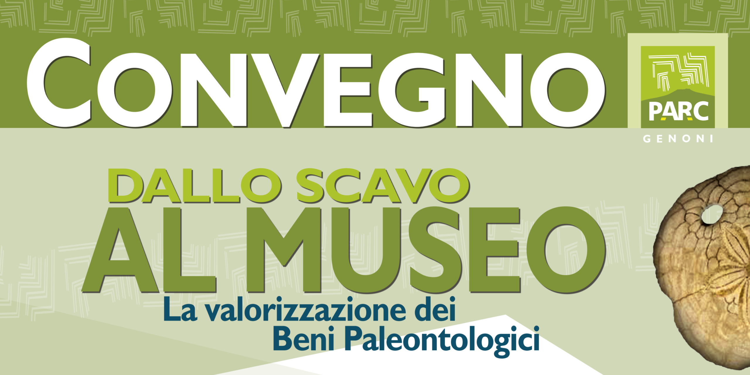 Convegno - Dallo scavo al museo - La valorizzazione dei beni paleontologici