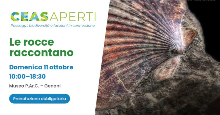 CEAS Aperti 2026 – Le rocce raccontano, domenica 11 ottobre al Museo P.Ar.C. di Genoni (foto fossile: Nicola Castangia)
