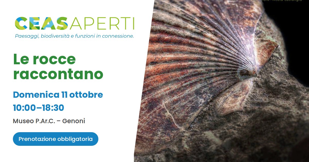 CEAS Aperti 2026 – Le rocce raccontano, domenica 11 ottobre al Museo P.Ar.C. di Genoni (foto fossile: Nicola Castangia)